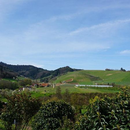 Ferienwohnung Anna Durbach Esterno foto